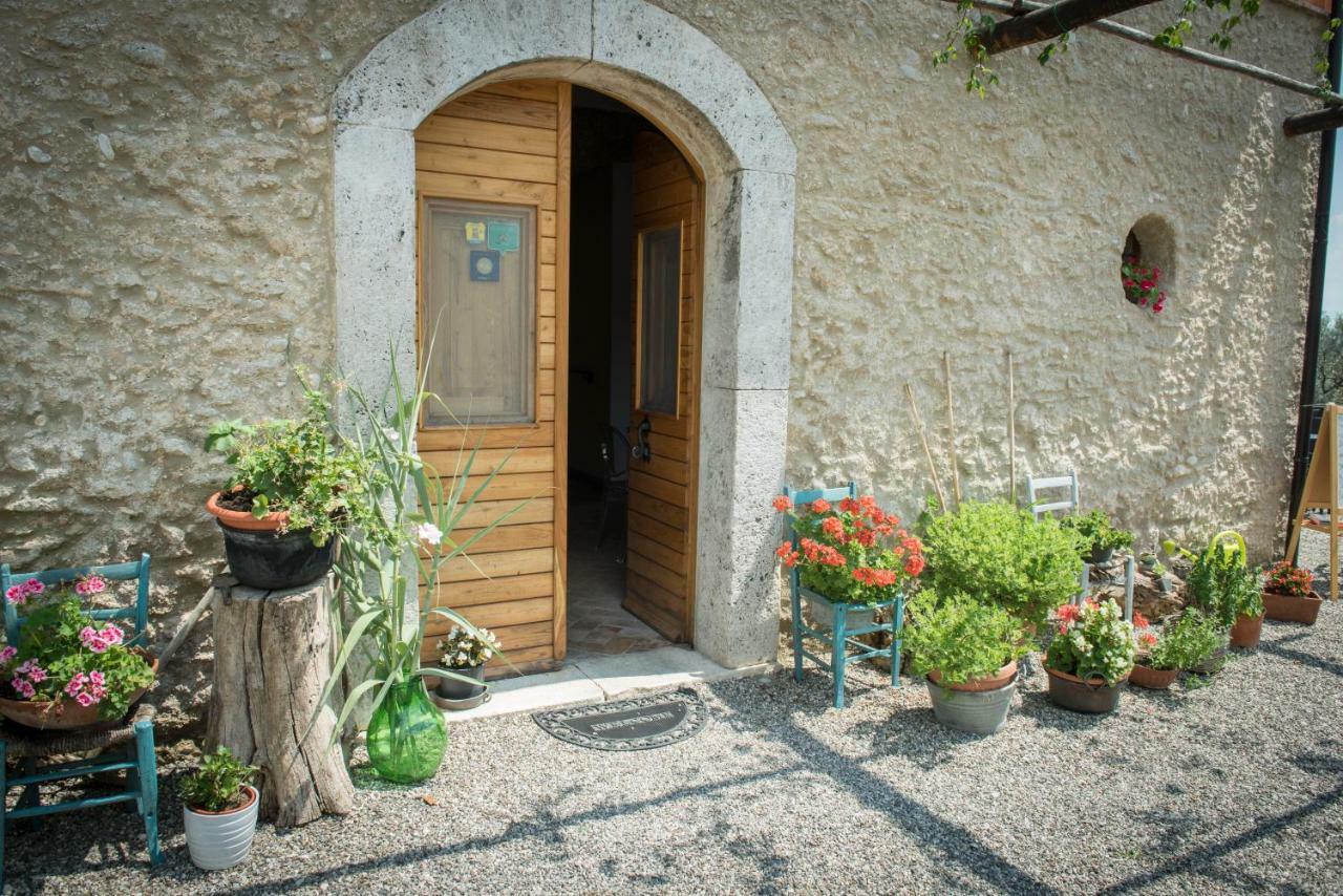 B&B Rifugio Tra Gli Ulivi Кампанья Екстер'єр фото